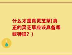 什么才是真灵芝草(真正的灵芝草应该具备哪些特征？)
