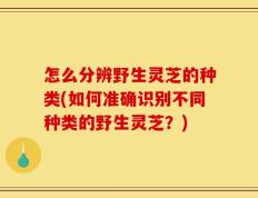 怎么分辨野生灵芝的种类(如何准确识别不同种类的野生灵芝？)