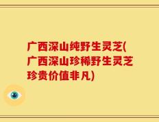 广西深山纯野生灵芝(广西深山珍稀野生灵芝珍贵价值非凡)