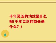 千年灵芝的功效是什么呢(千年灵芝的益处是什么？)