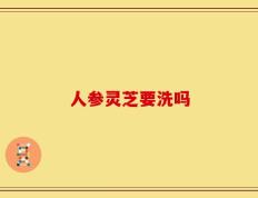 人参灵芝要洗吗
