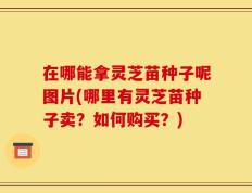 在哪能拿灵芝苗种子呢图片(哪里有灵芝苗种子卖？如何购买？)