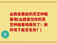 山西省最后的灵芝种植基地(山西省仅存的灵芝种植基地保住了！新环境下能否生存？)