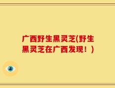 广西野生黑灵芝(野生黑灵芝在广西发现！)