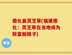 德化县灵芝草(福建德化：灵芝草在当地成为致富新路子)