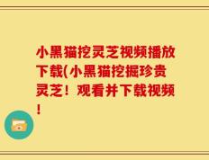 小黑猫挖灵芝视频播放下载(小黑猫挖掘珍贵灵芝！观看并下载视频！