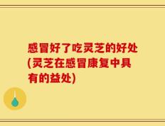 感冒好了吃灵芝的好处(灵芝在感冒康复中具有的益处)