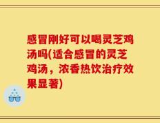 感冒刚好可以喝灵芝鸡汤吗(适合感冒的灵芝鸡汤，浓香热饮治疗效果显著)