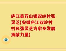 庐江县万山镇双岭村张灵芝(安徽庐江双岭村村民张灵芝为家乡发展贡献力量)