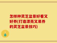 怎样种灵芝盆景好看又好养(打造漂亮又易养的灵芝盆景技巧)