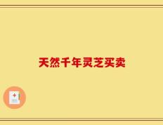 天然千年灵芝买卖