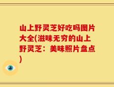 山上野灵芝好吃吗图片大全(滋味无穷的山上野灵芝：美味照片盘点)