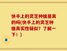 快手上的灵芝种植是真的吗(快手上的灵芝种植真实性疑似？了解一下！)