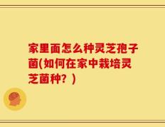 家里面怎么种灵芝孢子菌(如何在家中栽培灵芝菌种？)