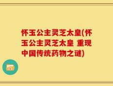 怀玉公主灵芝太皇(怀玉公主灵芝太皇 重现中国传统药物之谜)