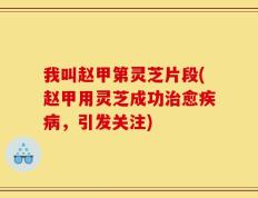 我叫赵甲第灵芝片段(赵甲用灵芝成功治愈疾病，引发关注)