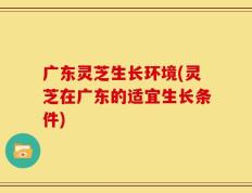 广东灵芝生长环境(灵芝在广东的适宜生长条件)