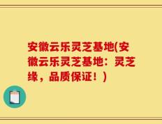 安徽云乐灵芝基地(安徽云乐灵芝基地：灵芝缘，品质保证！)