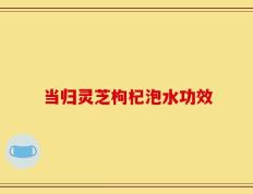 当归灵芝枸杞泡水功效