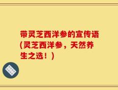 带灵芝西洋参的宣传语(灵芝西洋参，天然养生之选！)