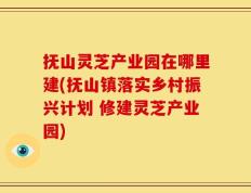 抚山灵芝产业园在哪里建(抚山镇落实乡村振兴计划 修建灵芝产业园)