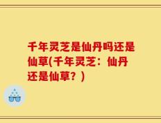 千年灵芝是仙丹吗还是仙草(千年灵芝：仙丹还是仙草？)