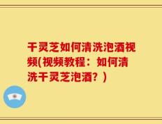 干灵芝如何清洗泡酒视频(视频教程：如何清洗干灵芝泡酒？)