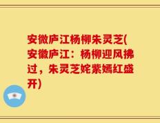 安微庐江杨柳朱灵芝(安徽庐江：杨柳迎风拂过，朱灵芝姹紫嫣红盛开)