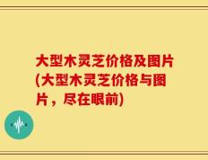 大型木灵芝价格及图片(大型木灵芝价格与图片，尽在眼前)