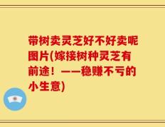 带树卖灵芝好不好卖呢图片(嫁接树种灵芝有前途！——稳赚不亏的小生意)