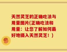 天然灵芝的正确吃法与用量图片(正确吃法和用量：让您了解如何最好地摄入天然灵芝！)