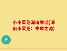 小小灵芝深山生活(深山小灵芝：生命之源)