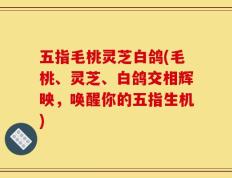 五指毛桃灵芝白鸽(毛桃、灵芝、白鸽交相辉映，唤醒你的五指生机)