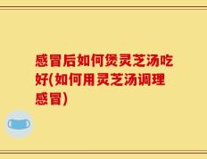 感冒后如何煲灵芝汤吃好(如何用灵芝汤调理感冒)