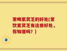 常喝紫灵芝的好处(常饮紫灵芝有这些好处，你知道吗？)