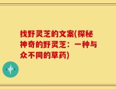 找野灵芝的文案(探秘神奇的野灵芝：一种与众不同的草药)