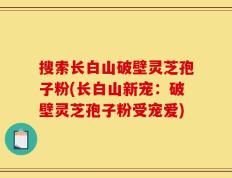 搜索长白山破壁灵芝孢子粉(长白山新宠：破壁灵芝孢子粉受宠爱)