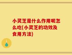 小灵芝是什么作用呢怎么吃(小灵芝的功效及食用方法)