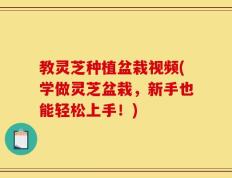 教灵芝种植盆栽视频(学做灵芝盆栽，新手也能轻松上手！)
