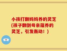 小孩打翻妈妈养的灵芝(孩子翻倒母亲蕴养的灵芝，引发轰动！)