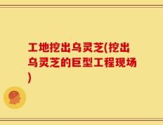 工地挖出乌灵芝(挖出乌灵芝的巨型工程现场)