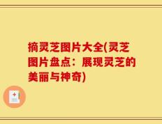 摘灵芝图片大全(灵芝图片盘点：展现灵芝的美丽与神奇)