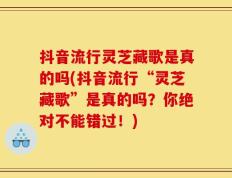 抖音流行灵芝藏歌是真的吗(抖音流行“灵芝藏歌”是真的吗？你绝对不能错过！)