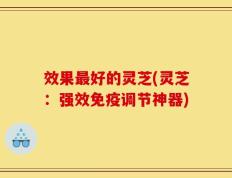 效果最好的灵芝(灵芝：强效免疫调节神器)