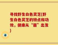 寻找野生白色灵芝(野生白色灵芝的特点和功效，健康从“菌”出发)
