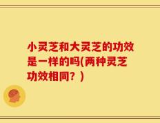 小灵芝和大灵芝的功效是一样的吗(两种灵芝功效相同？)