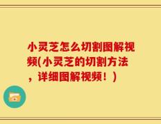 小灵芝怎么切割图解视频(小灵芝的切割方法，详细图解视频！)