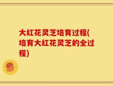 大红花灵芝培育过程(培育大红花灵芝的全过程)