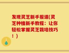 发现灵芝新手报道(灵芝种植新手教程：让你轻松掌握灵芝栽培技巧！)