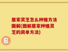 居家灵芝怎么种植方法图解(图解居家种植灵芝的简单方法)
